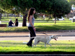 woman walking with dog